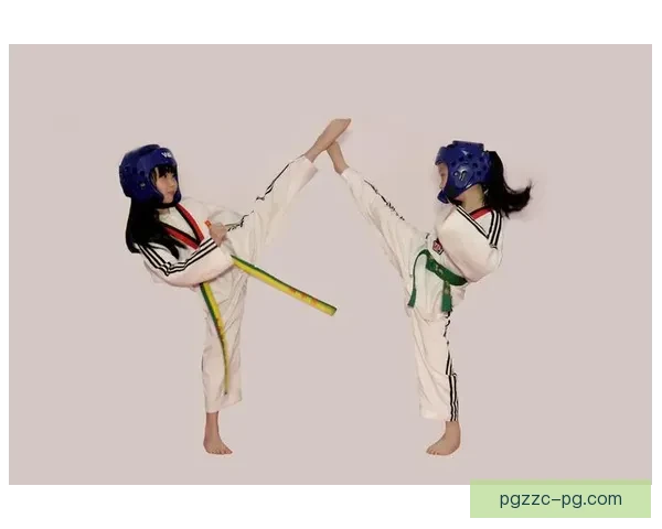 学习跆拳道要点：详细解读技术动作，助你快速进步